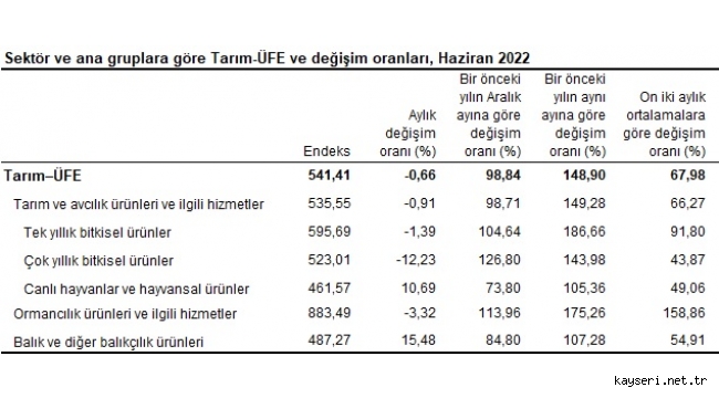 Tarım Ürünleri Üretici Fiyat Endeksi, Haziran 2022