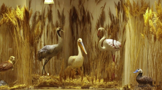 Sultan Sazlığı Kuş Cenneti Müzesi