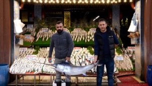 TEZGAHLAR, BALIK ÇEŞİTLERİ İLE RENKLENDİ