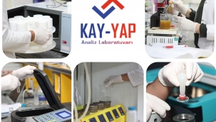 Yapı Analiz Sektörünün Yıldızı Kayyap