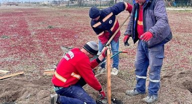 Kum Zambakları Koruma Altında