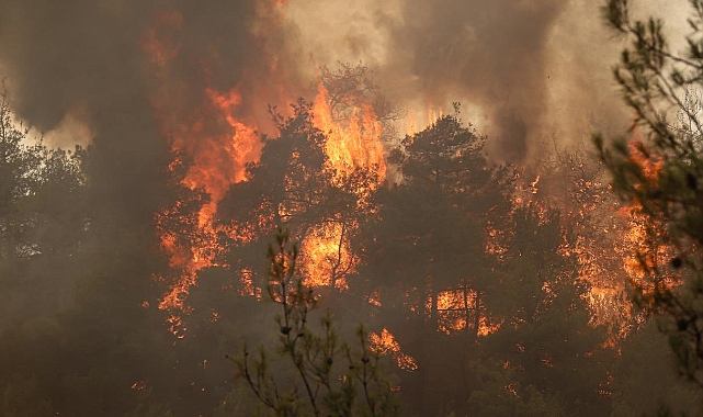 5 ilde alevlerle mücadele sürüyor