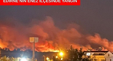 Enez’de alevlerle mücadele sürüyor