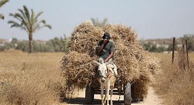 FAO'dan Gazze'ye yönelik tarımsal girdilere uygulanan kısıtlamaların kaldırılması çağrısı