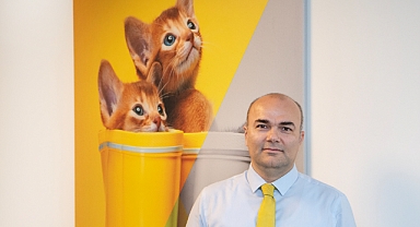 Her 4 Kedi Sahibinden 1'i Yanılıyor: